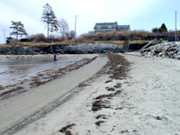 seaweed at cleaned at tideline