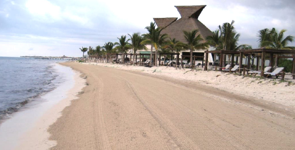 sargassum cleanup after machine cleaning