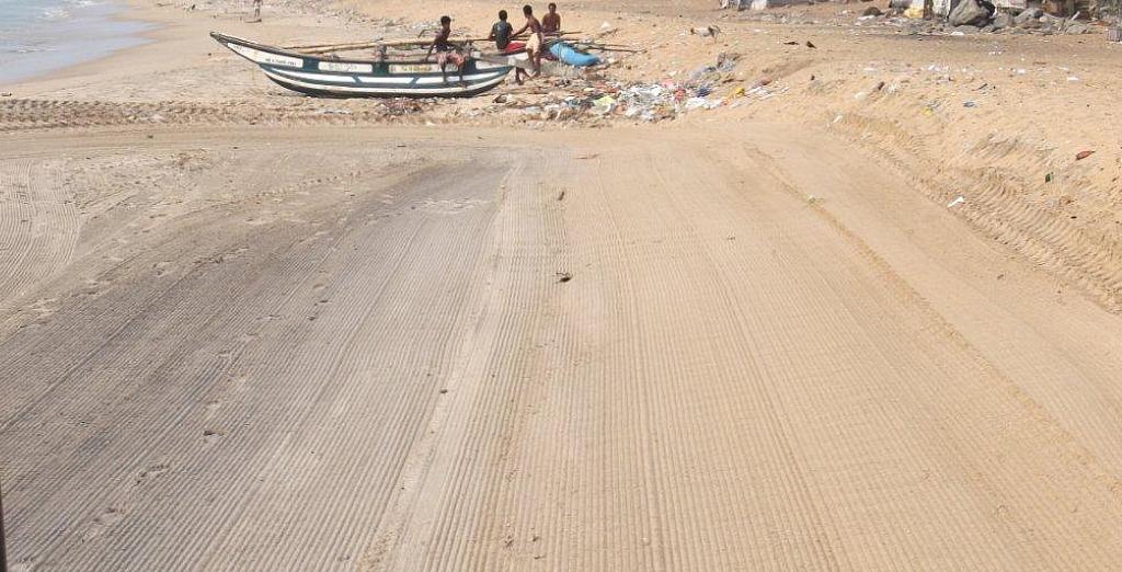 sargassum cleanup after machine cleaning